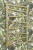 ДР Сирокко 800х500